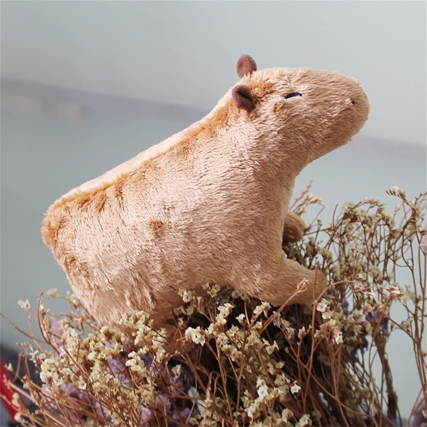 Capybara Plush Toy